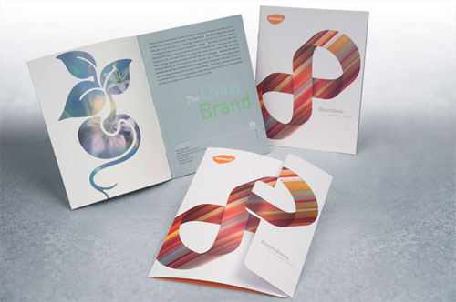 Rebrand---Brochure